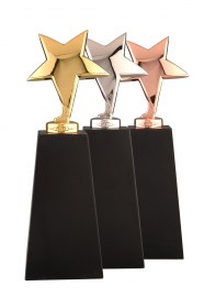 Trofee din metal MT 101